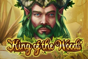 Арт слота King of the Woods